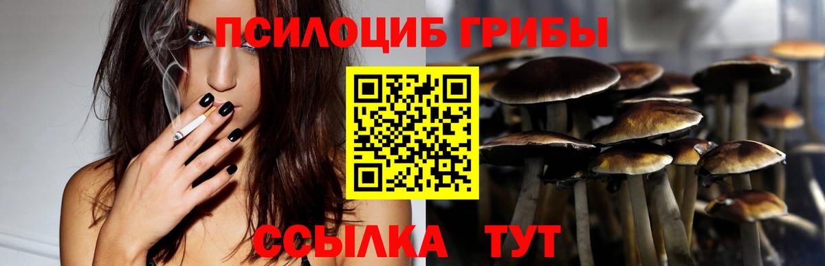 Учалы  Галлюциногенные грибы Psilocybine cubensis  закладка  Вход с VPN 